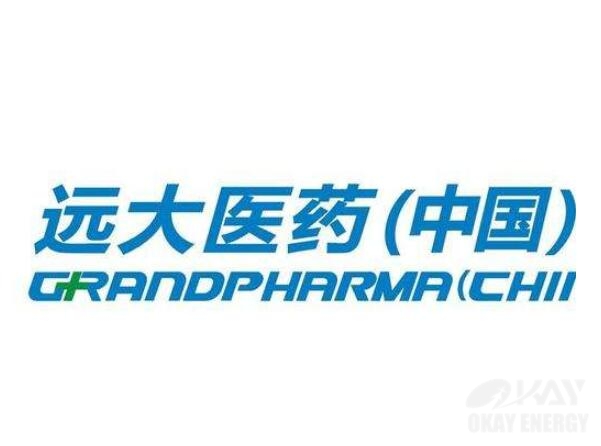 遠大醫(yī)藥